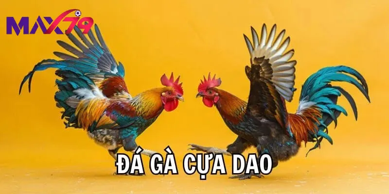 Tổng quan về đá gà cựa dao max79