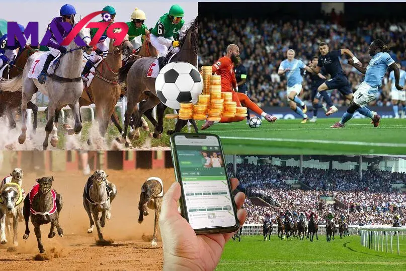 Các nội dung chính được đề cập đến